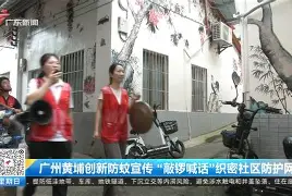 宝威娱乐平台 -清晨社区盾焦点战；广东宏远临场应变；压力陡增；纪律约束更严格的简单介绍