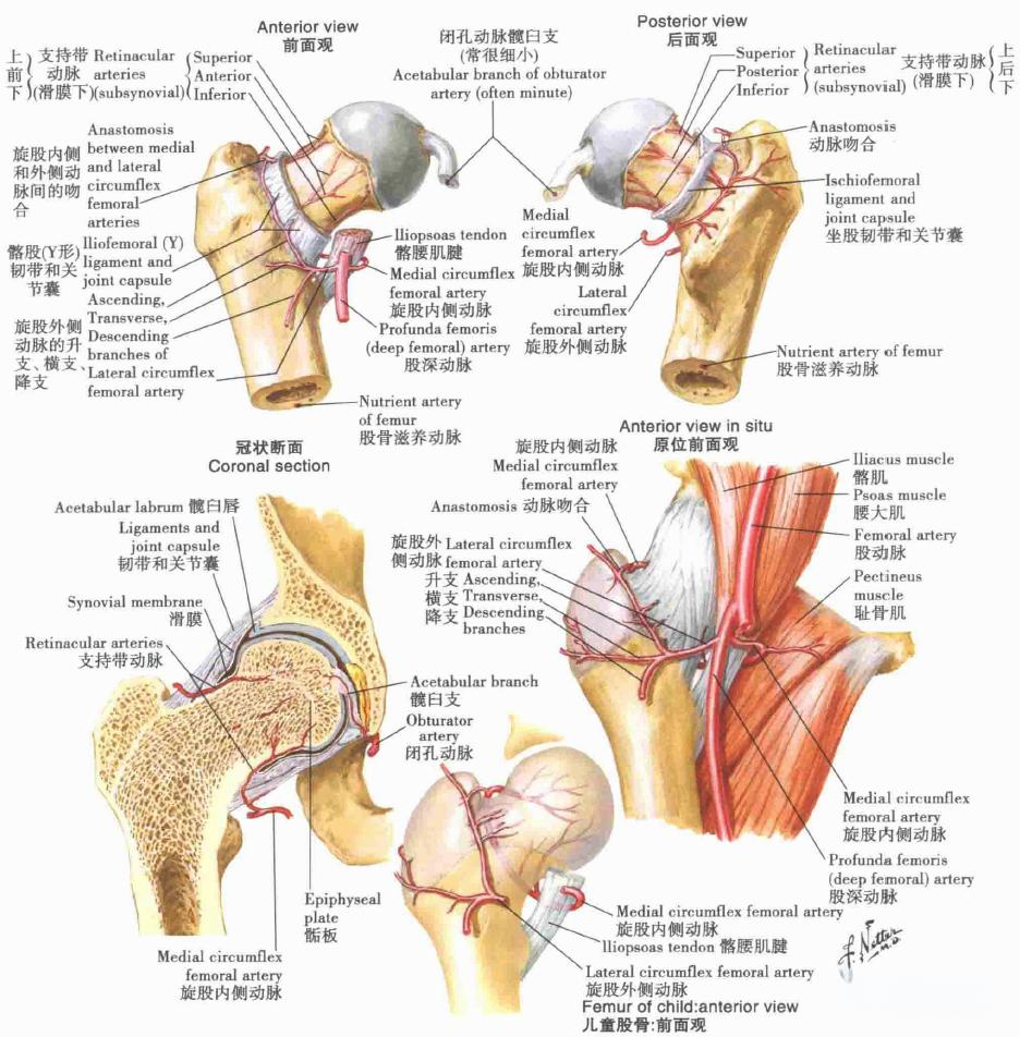 宝威娱乐 -€'g髋 